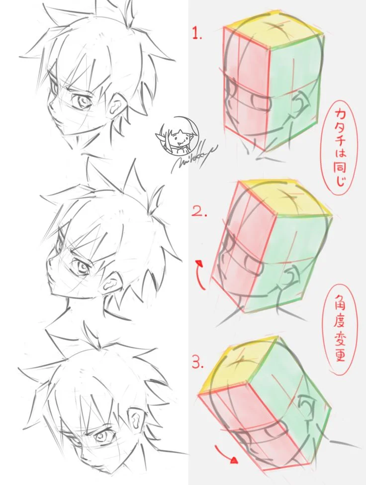 头部