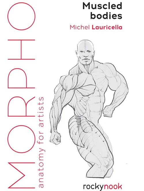 Morpho 艺用人体解剖：强壮体型 展示图 1