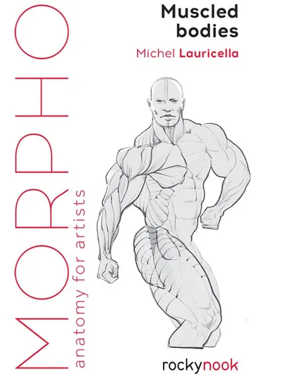 Morpho 艺用人体解剖：强壮体型