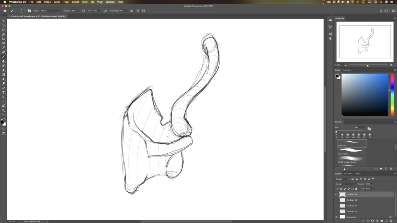 Udemy - 解剖艺术学校 骨骼素描完全教程 截图 1