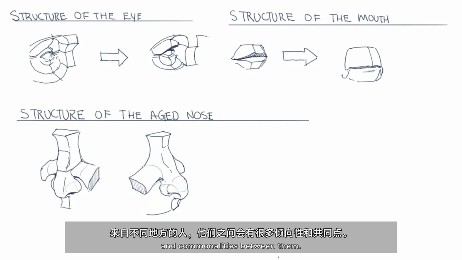 Modern Day James - 面部特征解剖学绘画教程 截图 1